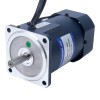 90W 220VAC 50Hz 90-1350RPM 0,675Nm(95,59oz.in) Flens 90mm Eenfasige AC-motor met variabele snelheid - 5IK90RA-CF | StepperOnline