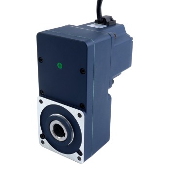48V 250W 20RPM 70,00Nm(9912,82oz.in) 150:1 BLDC Motor met Tandwielkast en parallelle holle as versnellingsbak