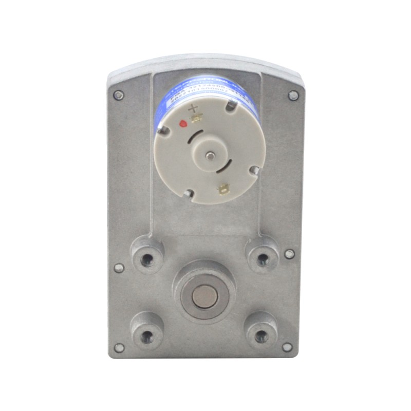 Geborstelde 12V DC motor 60Kg.cm/3RPM met 1166:1 Rechthoekige tandwielkast