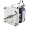 Geborstelde 220V AC motor 20Kg.cm/14RPM met 190:1 Rechthoekige tandwielkast