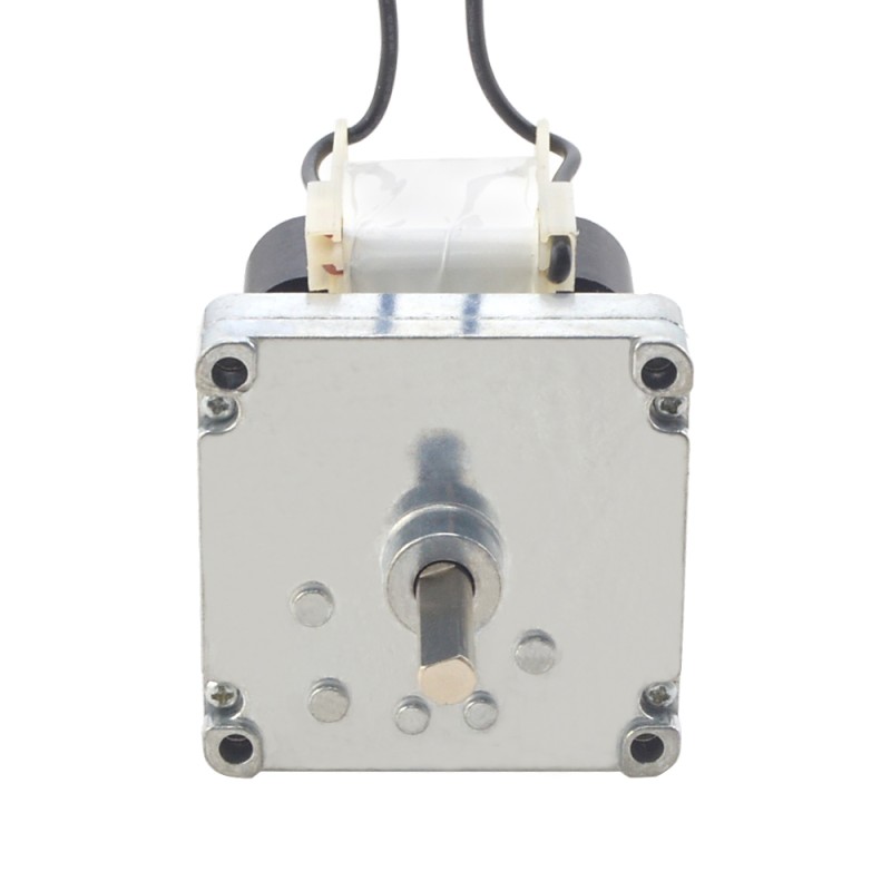 Geborstelde 220V AC motor 20Kg.cm/14RPM met 190:1 Rechthoekige tandwielkast