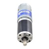 Geborstelde 24V DC motorreductor 30Kg.cm/8.9RPM met 369:1 planetaire tandwielkast
