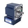 Geborsteld 12V 60W 1,35Nm(191,18oz.in) 300RPM met 10:1 haakse versnellingsbak DC-reductiemotor - F4D60-12GN-30S/4GN10RT | StepperOnline