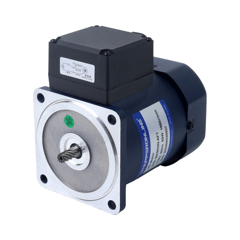 Eenfasig 110VAC 60W 60Hz Flens 90mm Overbrengingsverhouding 5:1 Spur-versnellingsbak AC-inductiemotor