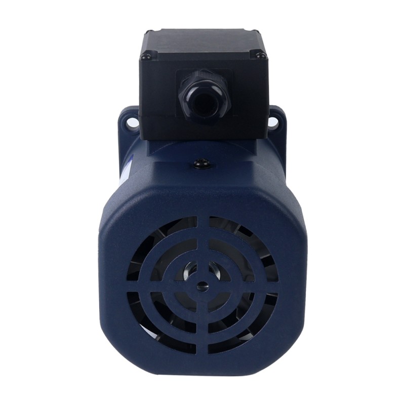 Eenfasig 220VAC 60W 50Hz Flens 90mm Overbrengingsverhouding 5:1 Spur-versnellingsbak AC-inductiemotor