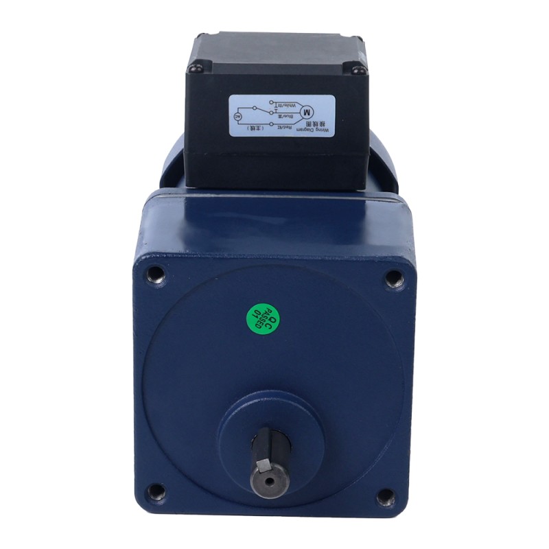 Eenfasig 110VAC 60W 60Hz Flens 90mm Overbrengingsverhouding 5:1 Spur-versnellingsbak AC-inductiemotor