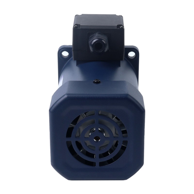 Drie fase 220VAC/380VAC 200W 50/60Hz Flens 104mm Overbrengingsverhouding 100:1 AC-inductiemotor met haakse versnellingsbak
